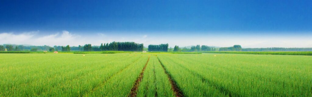 Agriculture in Nigeria