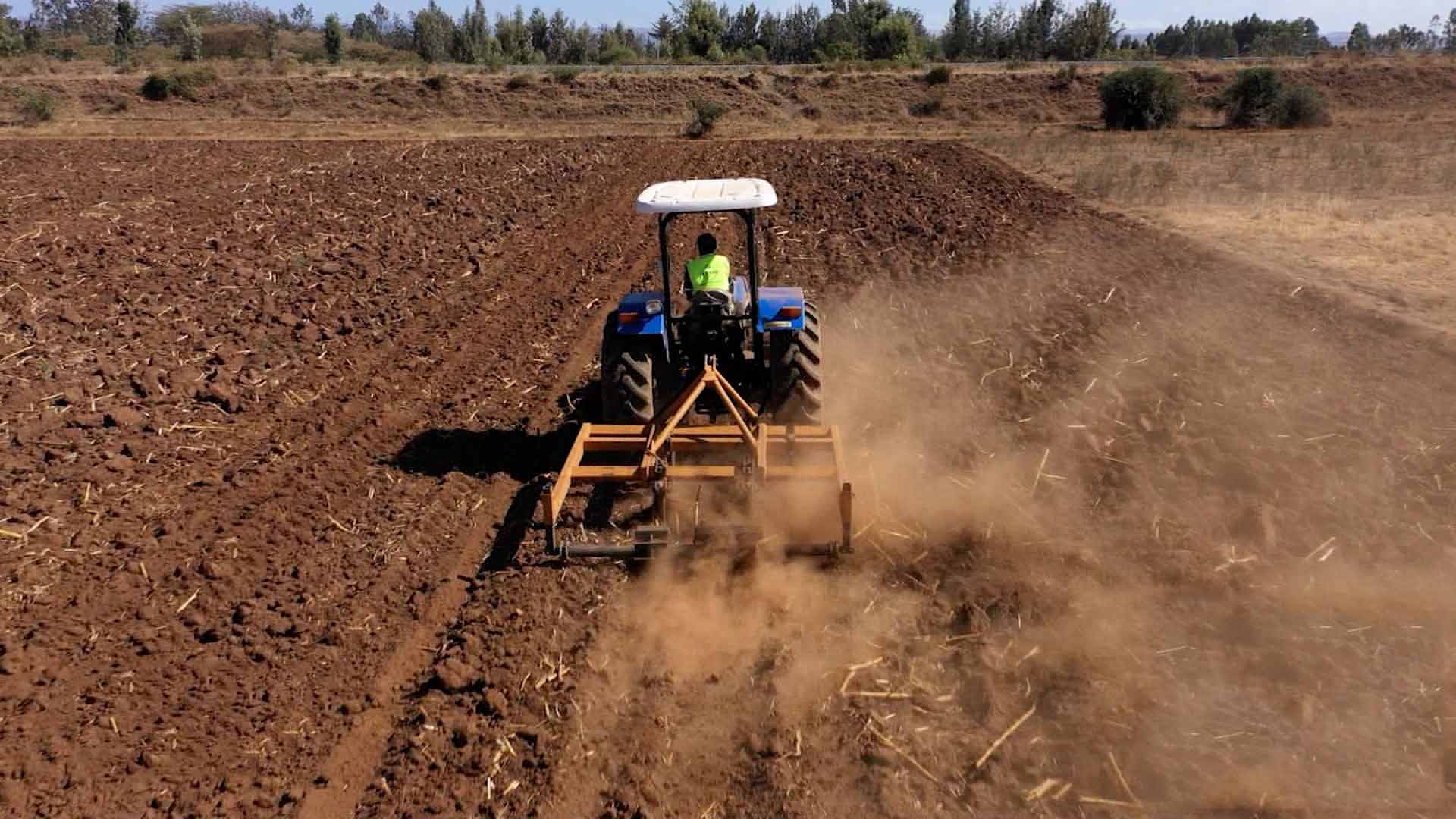 Agriculture in Nigeria